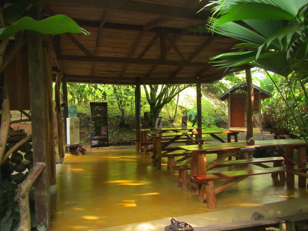El Chontal Hotell Rincón Exteriör bild
